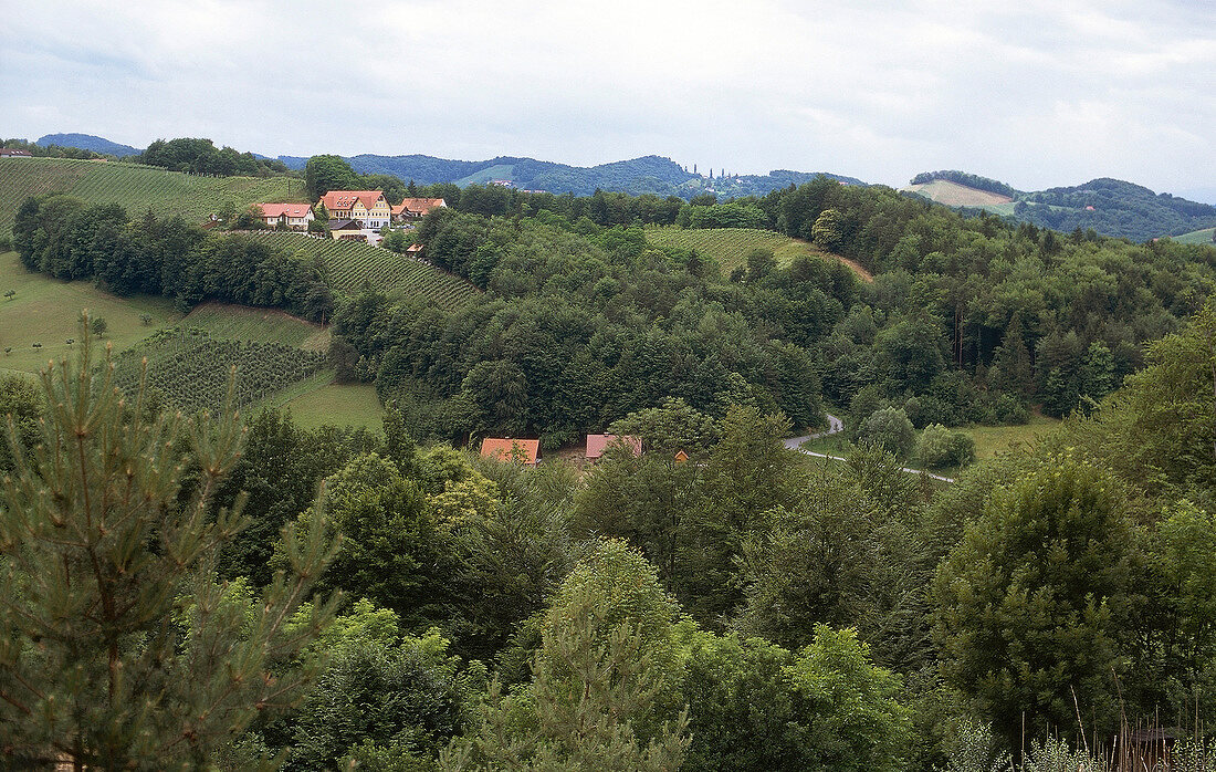 Hügelandschaft in der Steiermark X 