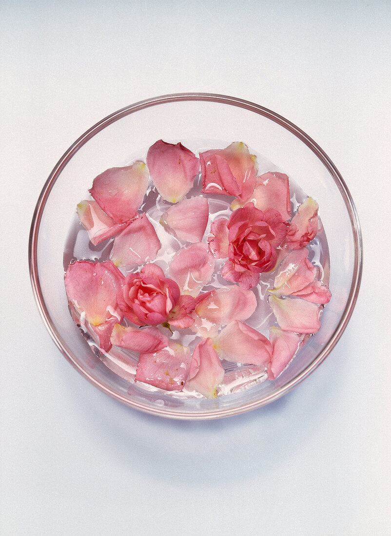 Pink roses and petals floating in glass bowl for Bach flower therapy, overhead view