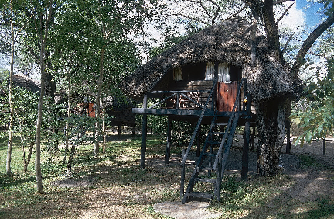 View of tree house in Hwange National Park, Zimbabwe