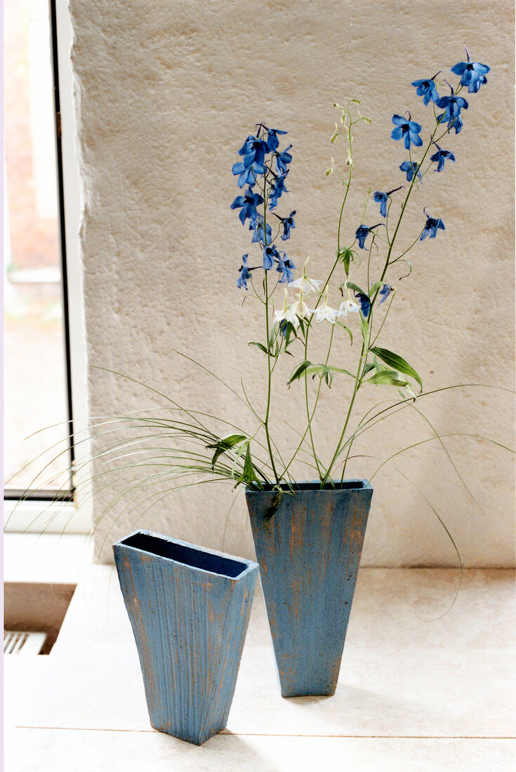 Larkspur flower in blue vase on floor