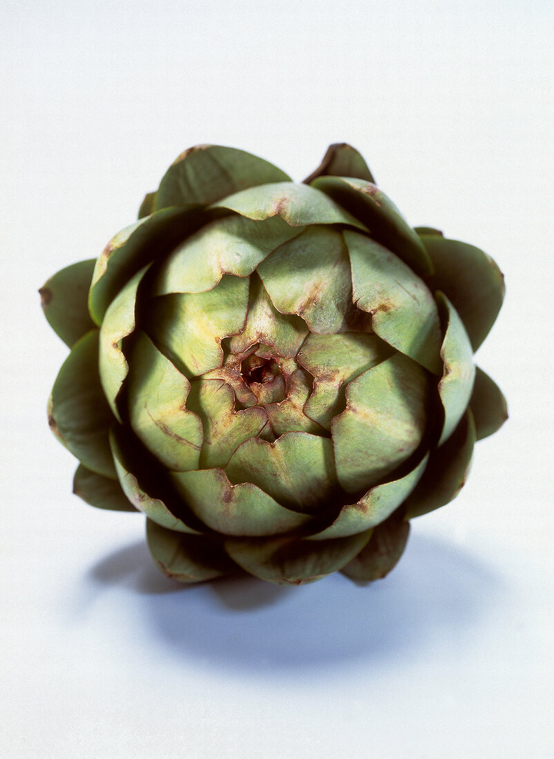 Close-up of artichoke on white background