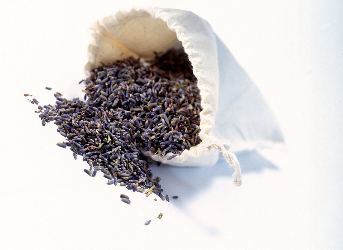 Close-up of dried lavender spilt out of white bag placed on white background