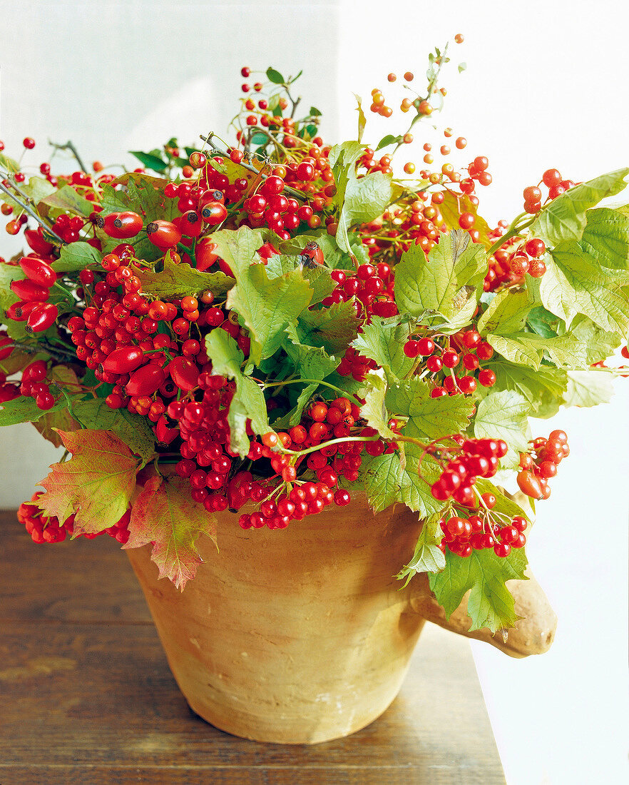 Bouquet of various berries in clay pot