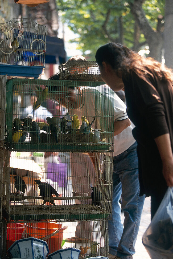 Vogelmarkt in Shanghai -  Ziervögel in Vogelbauern werden begutachtet