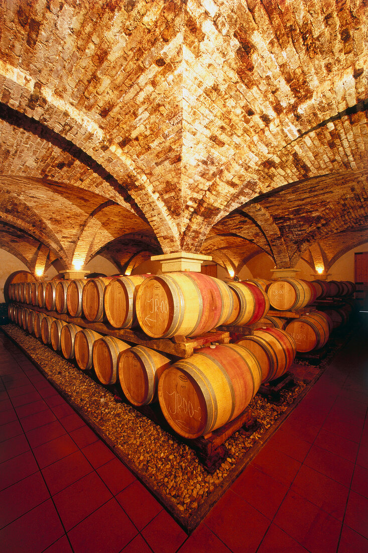 Oak barrels in the vault of the winery Johanneshof cellar, thermal region