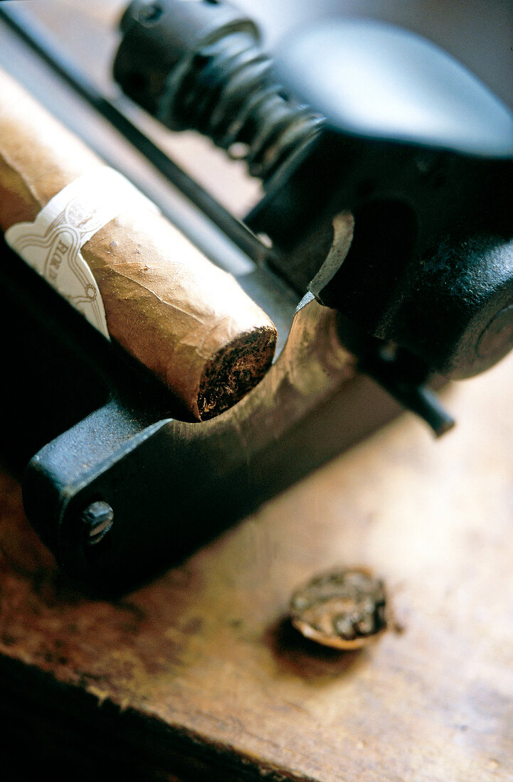 Zigarren Flor de Selva mit Zigarrencutter