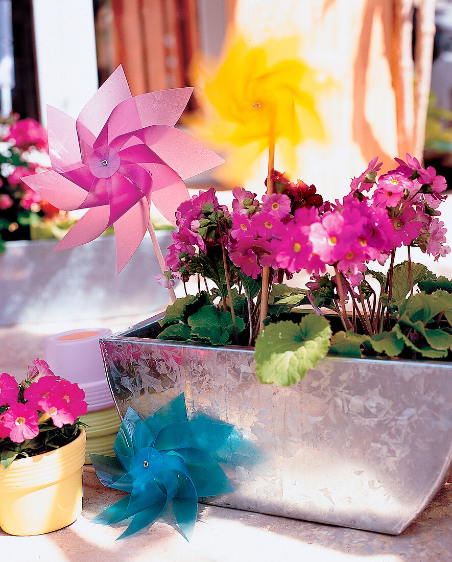 Zinc planter box with pink geraniums