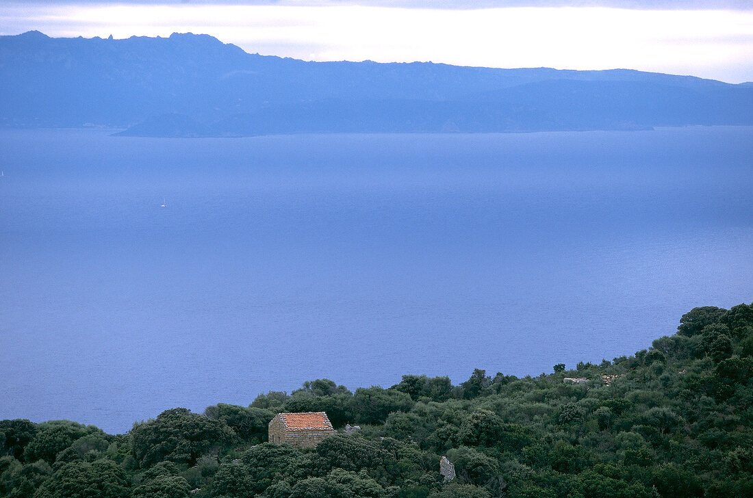 Blick über Wälder auf die Südküste Korsikas im Nebel
