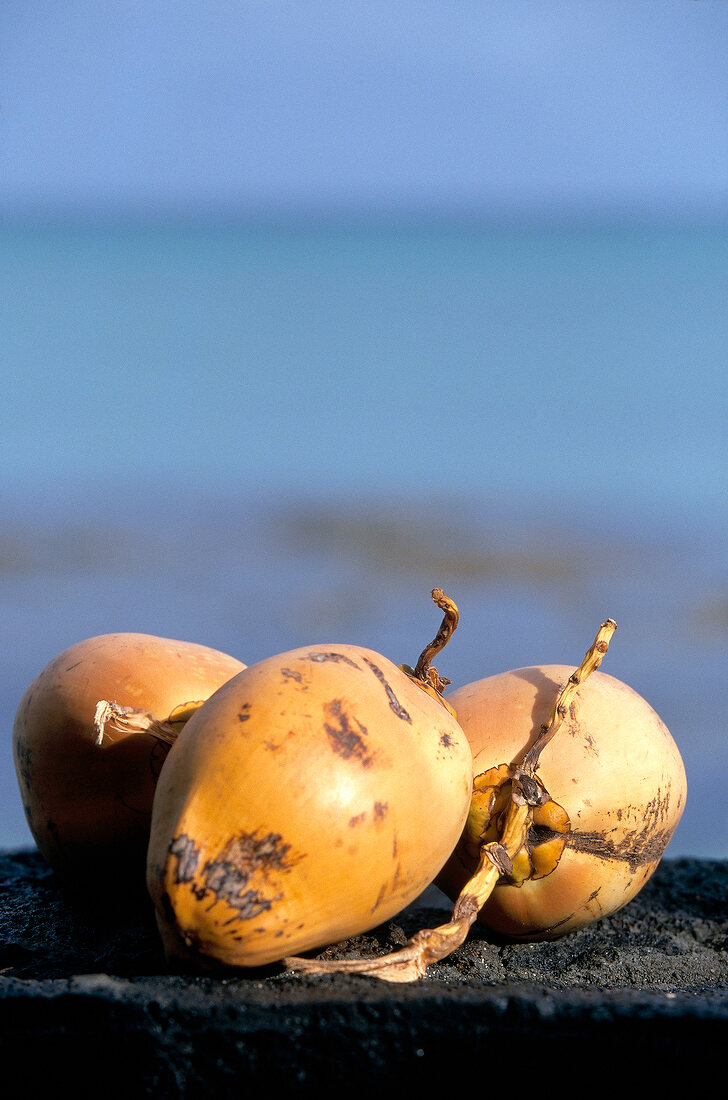 Dried coconuts at the Marche de Port Louis, Mauritius