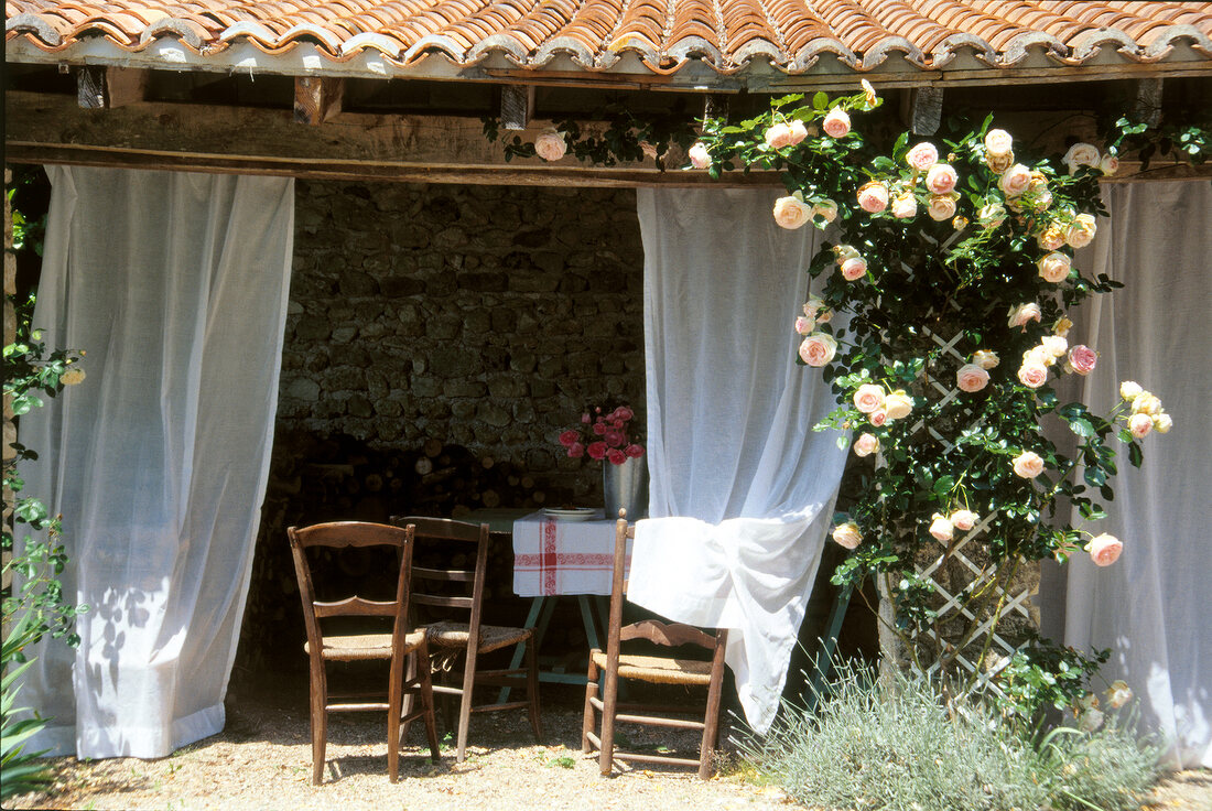 Table with simple chairs and roses on terrace