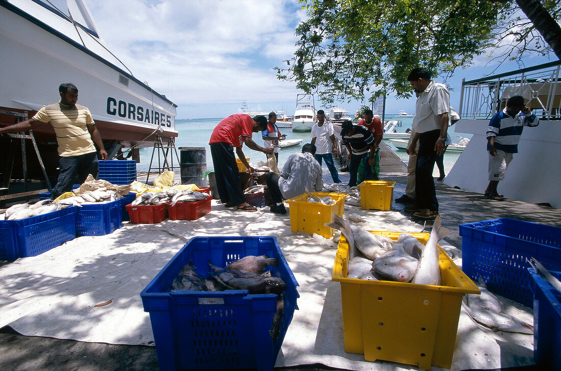 Fishermen standing with fish boxes at beach in Mauritius