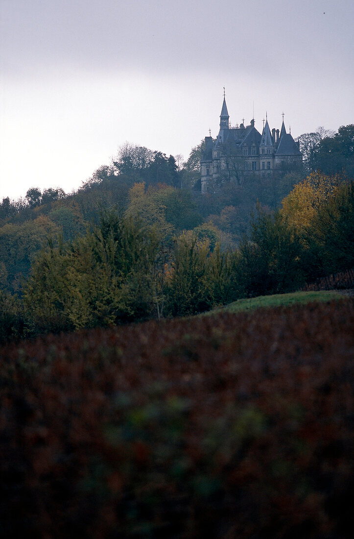 Château Boursault in der Herbstlandschaft, Champagne