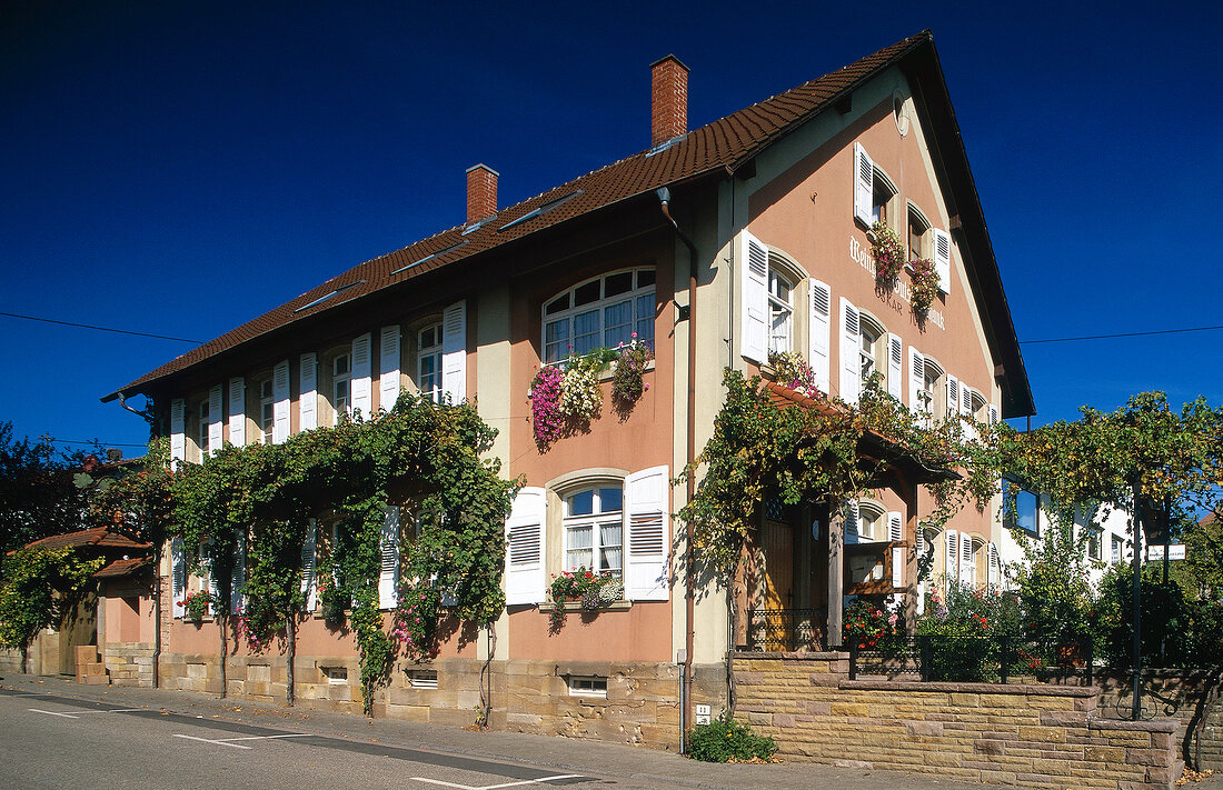 Main building of Vineyard Julg in Palatinate, Germany