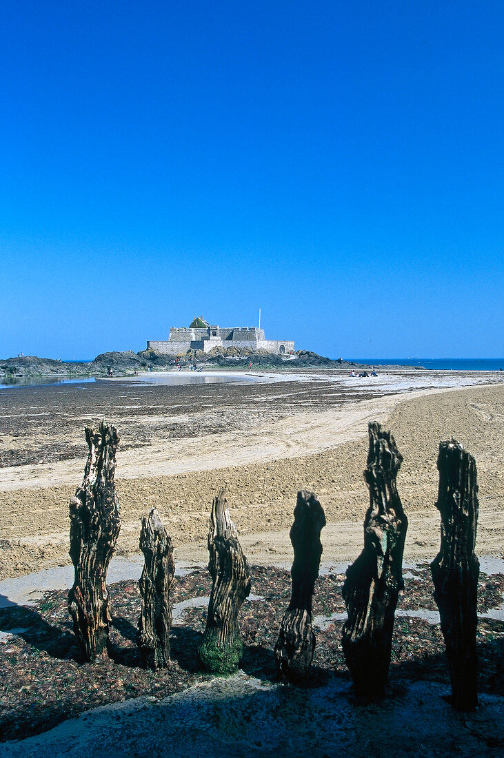 Blick über Baumstümpfe hinweg auf die Festung St.Malo, Bretagne