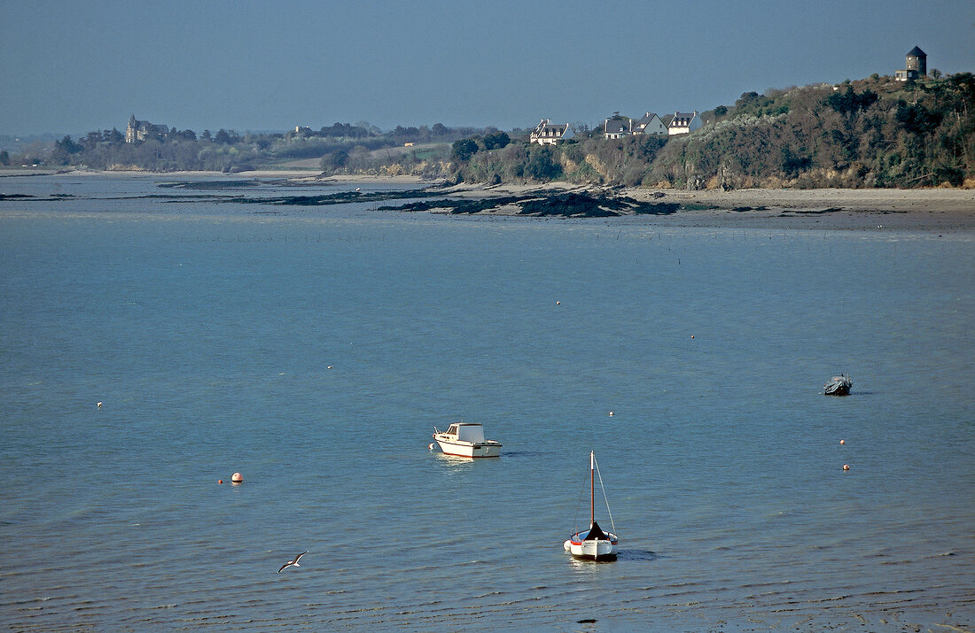 View of wooded shoreline overlooking sea at Cancale in Brittany, France