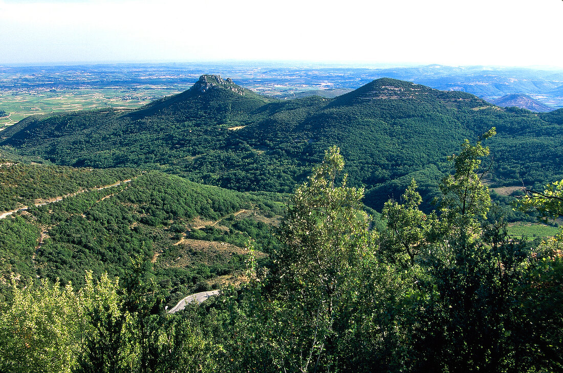 View of valley over vineyards at The Rocher des Verges, Languedoc