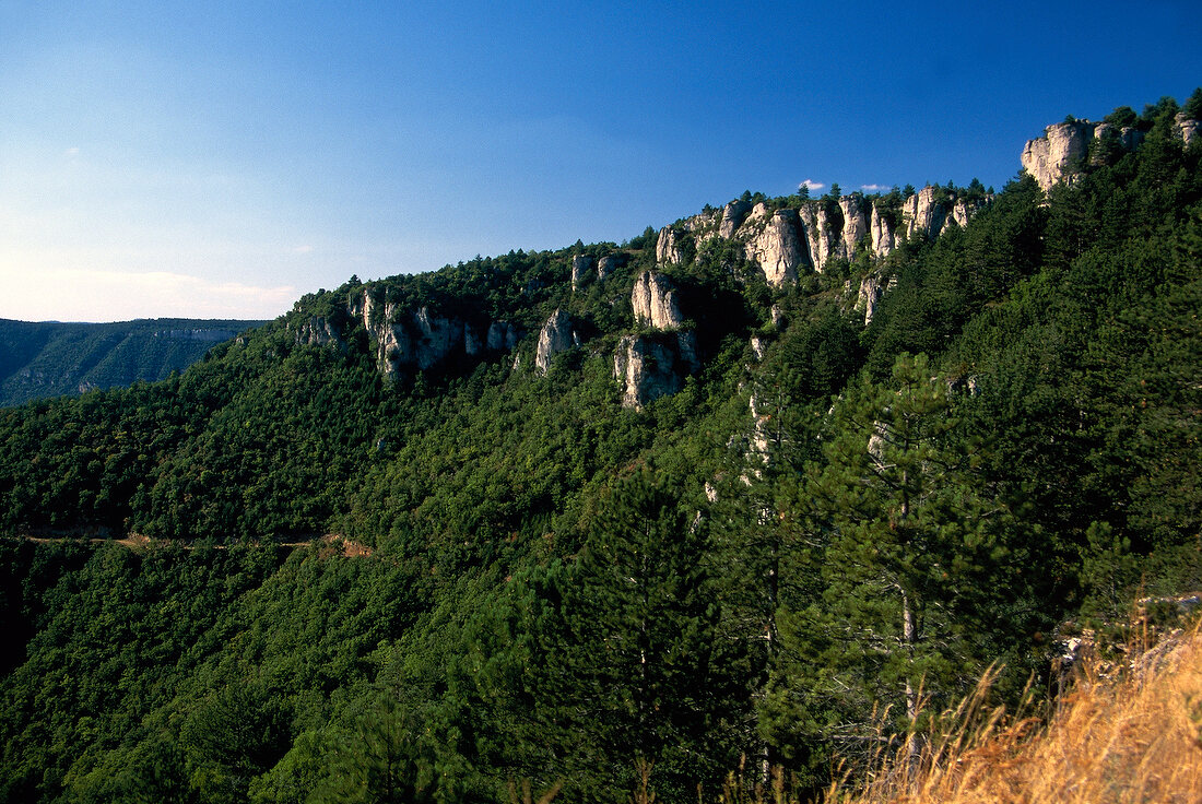 View of wineyards in the valley of Languedoc, France