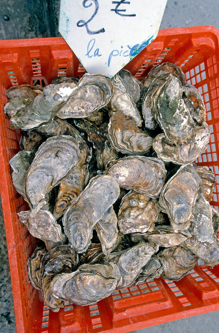Frische Austern in einem Korb mit Preisschild, Bretagne