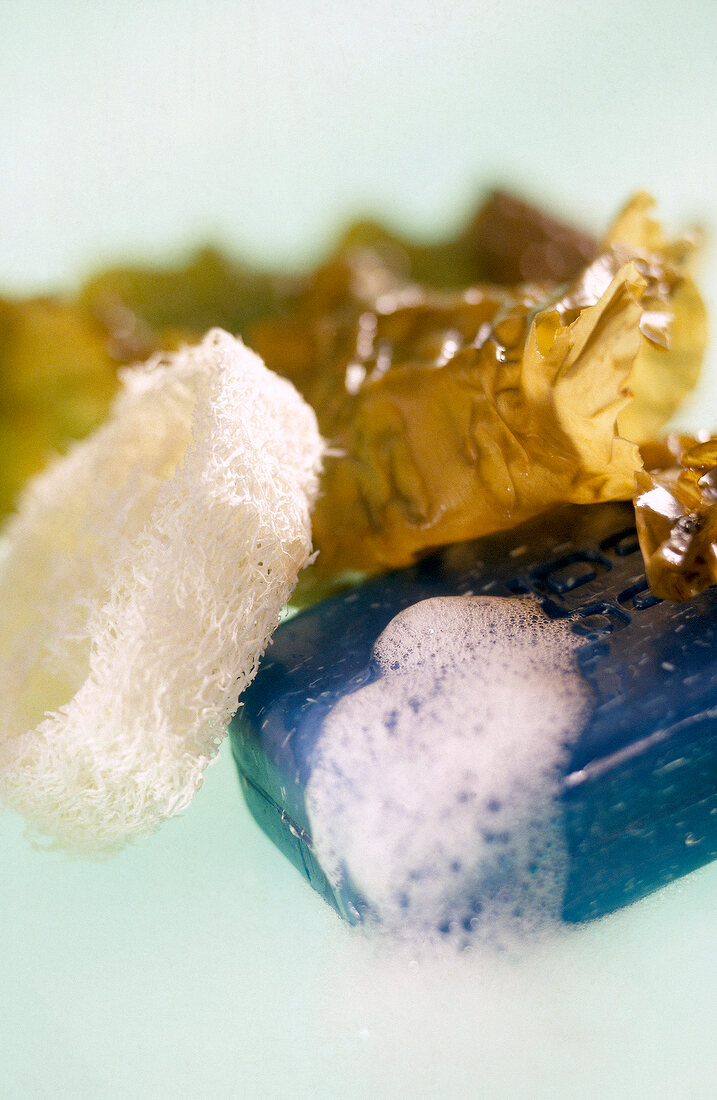 Close-up of luffa cucumber soap and foam