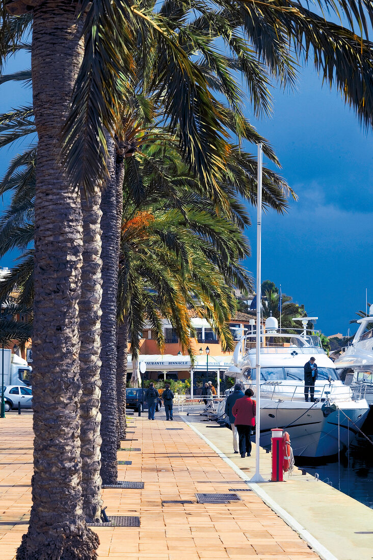 Hafenpromenade von Portals Nous Mallorca