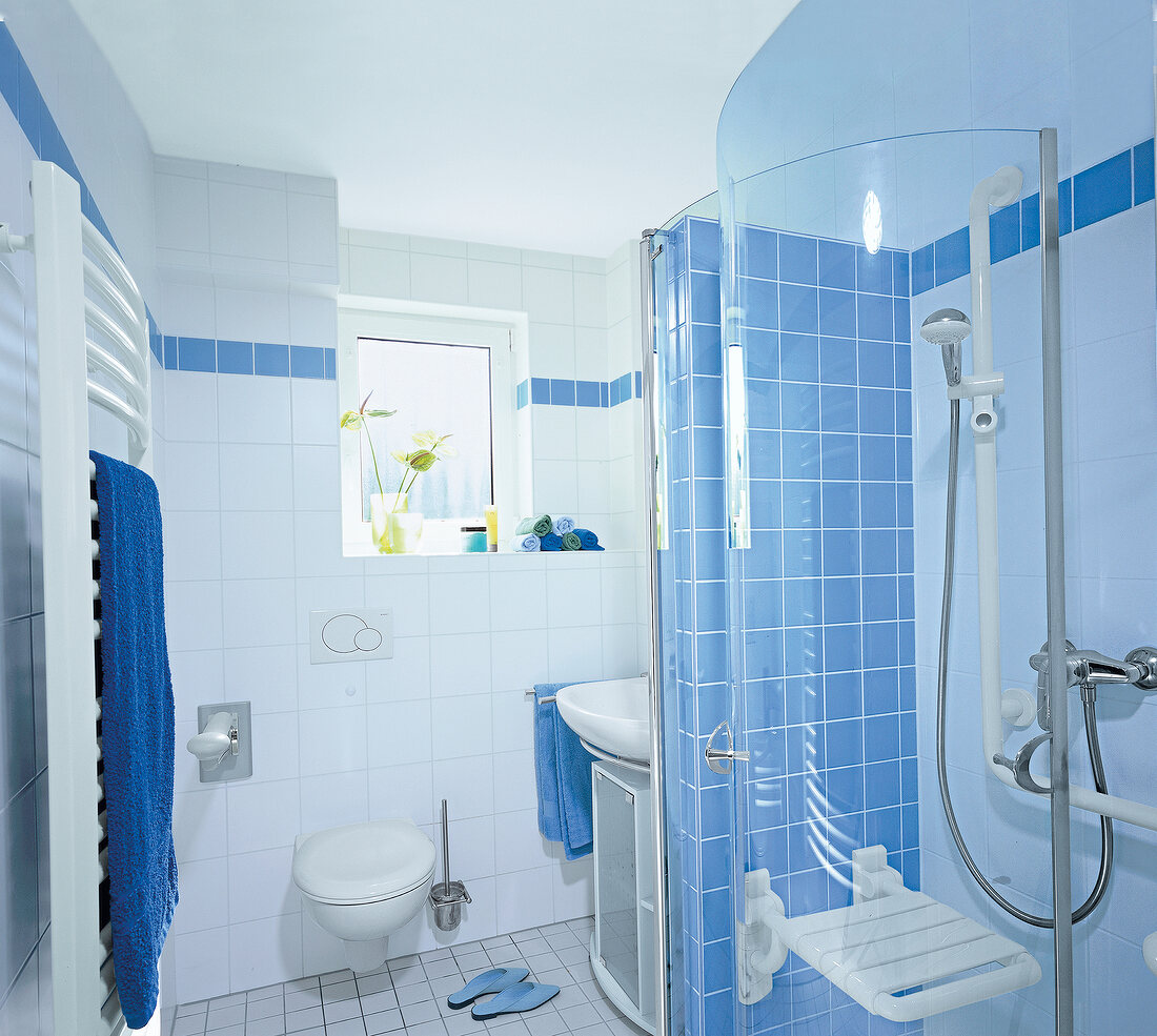 Commode, shower, wash basin in bathroom with blue and white tiles