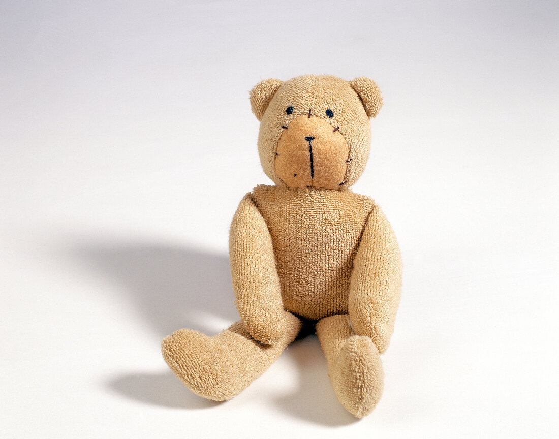 Teddy bear on white background