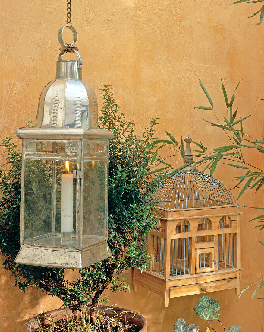 Bird cage next to plant pot and lantern