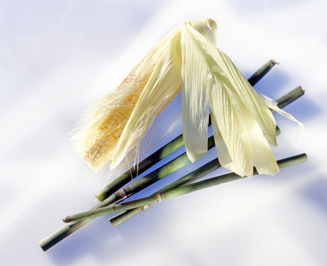 Hair care natural products - Bamboo and corn on white background