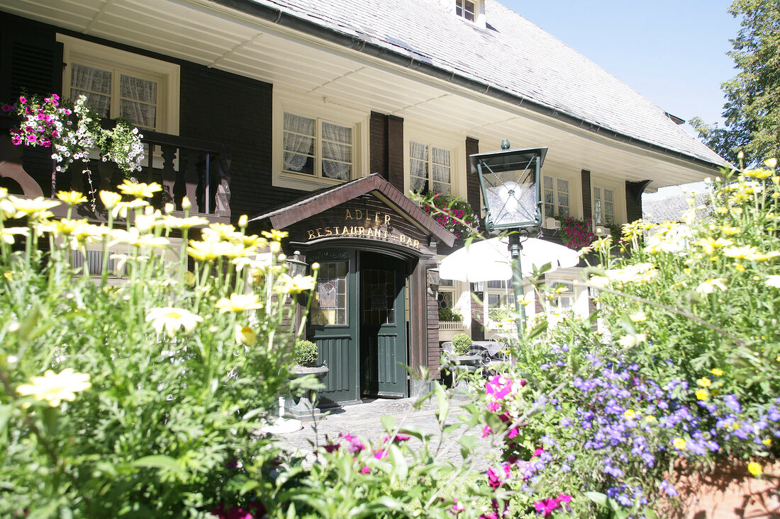 View of plants outside Eagle Restaurant, Baden-Wurttemberg, Germany