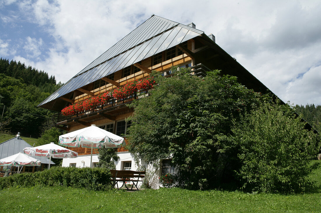 Exterior view of hotel with trees around, Germany