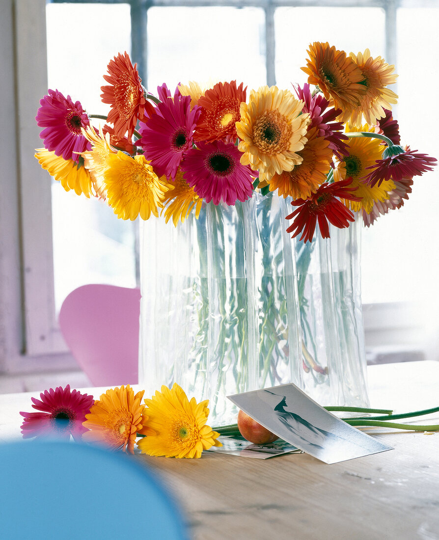 Orange, pink and yellow flowers in glass vase on table