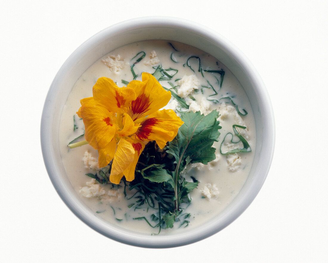 Pastasoße "Frühlingstraum" in weißem Schälchen, mit Rucola und Blüten