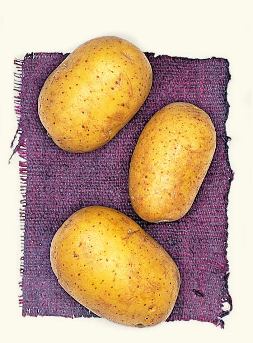 Marabel Biokartoffeln, Kartoffelsorte