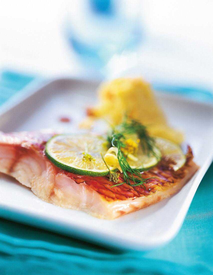 Close-up of snapper with lemon and sweet potato puree on plate