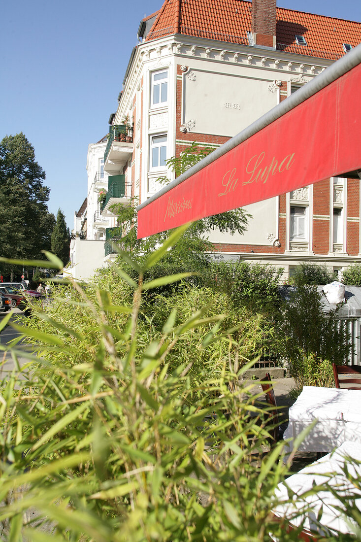 Plants outside restaurant, Germany