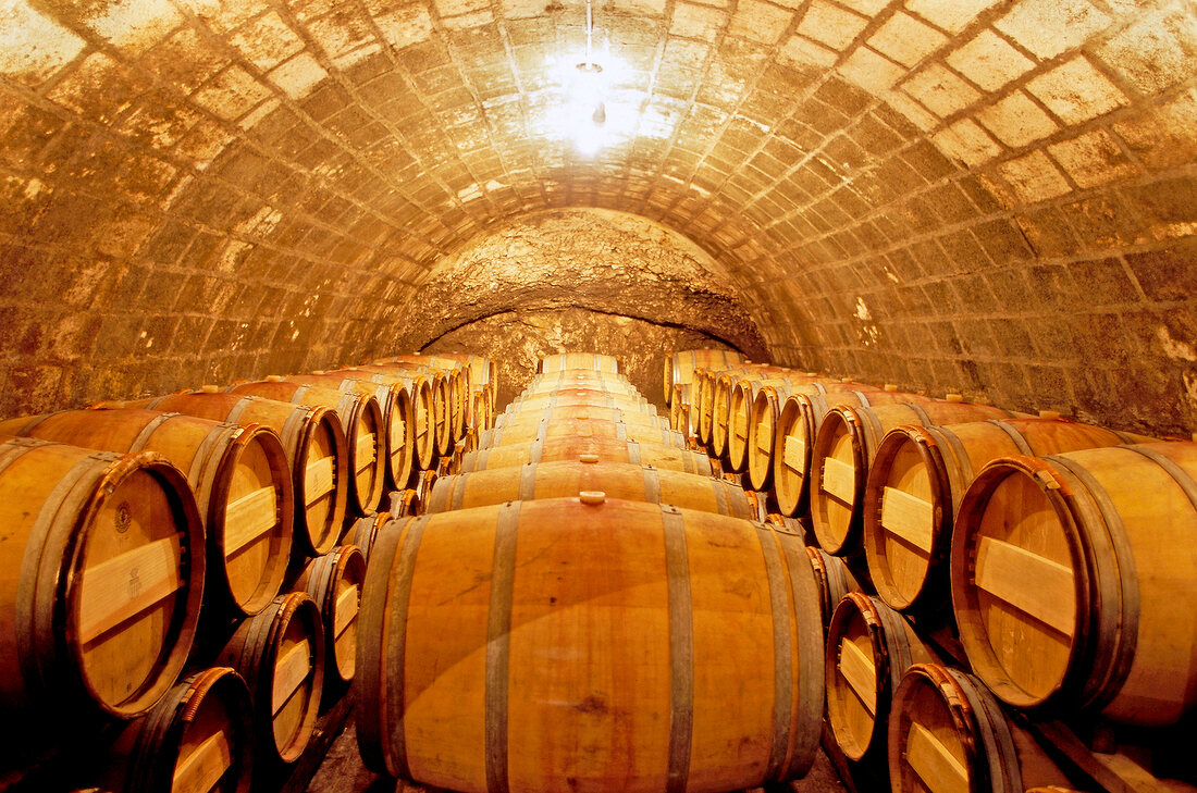 Wine cellar in Chateau Simone at Provence, France