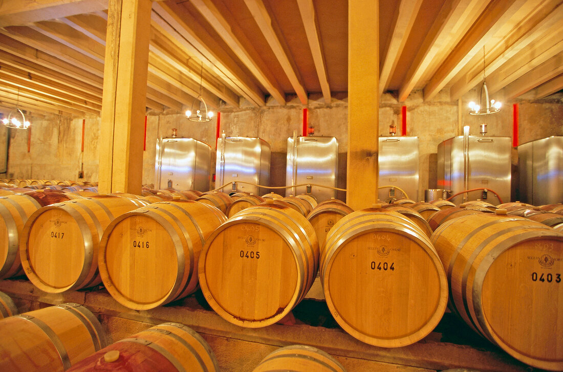 Wine cellar and wine barrels in Provence