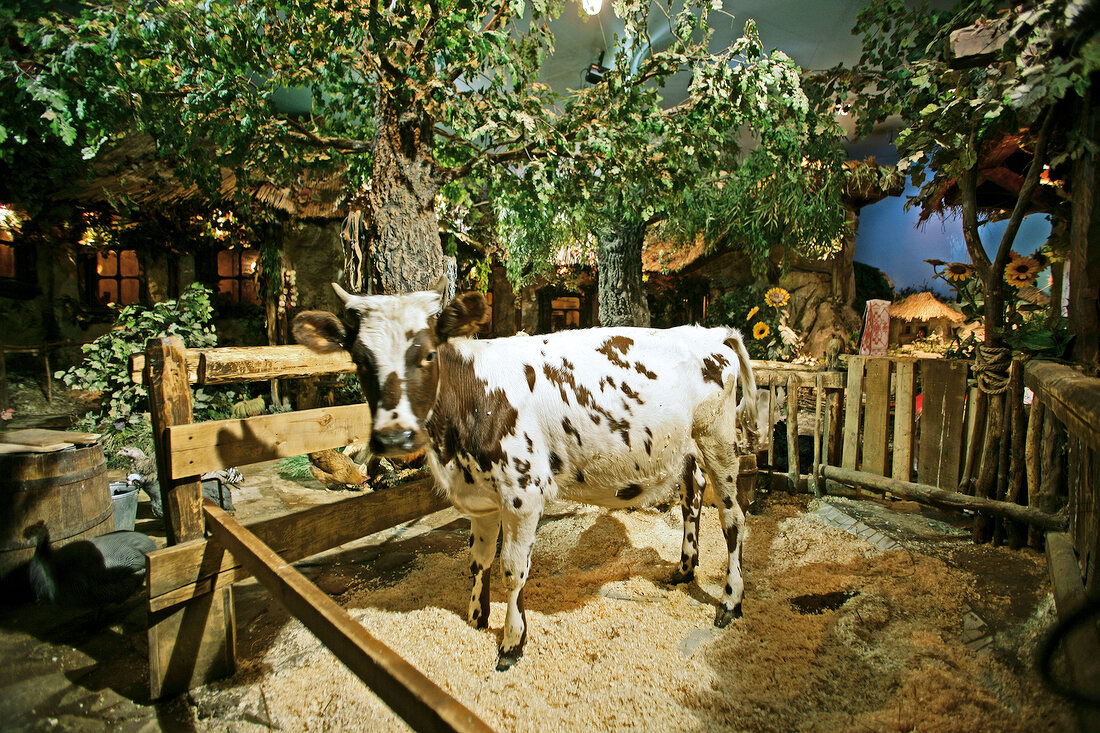 Decoration of calf in restaurant Shinok, Moscow, Russia