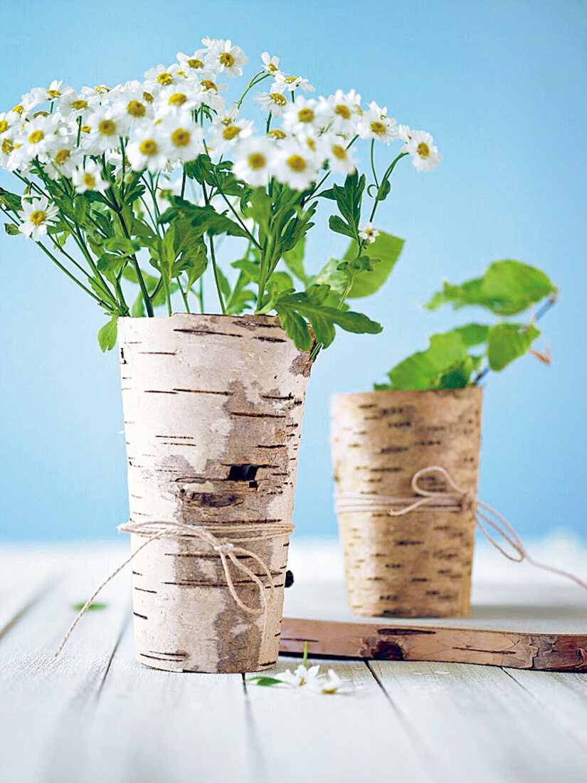 Glass wrapped with birch bark as vase for camomile