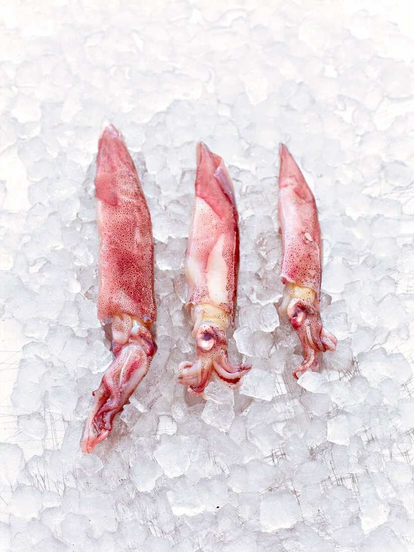Close-up of squids on ice