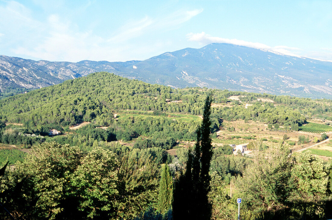 Ausblick über Felder, Wiesen, Bäume bis zu den Bergen, Provence.