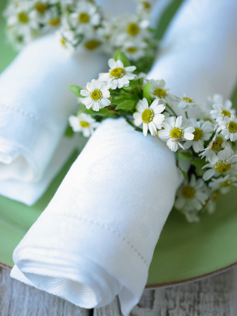 Close-up of napkins rolled in chamomile flowers