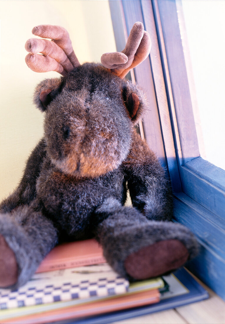 Close-up of handmade stuffed moose near window
