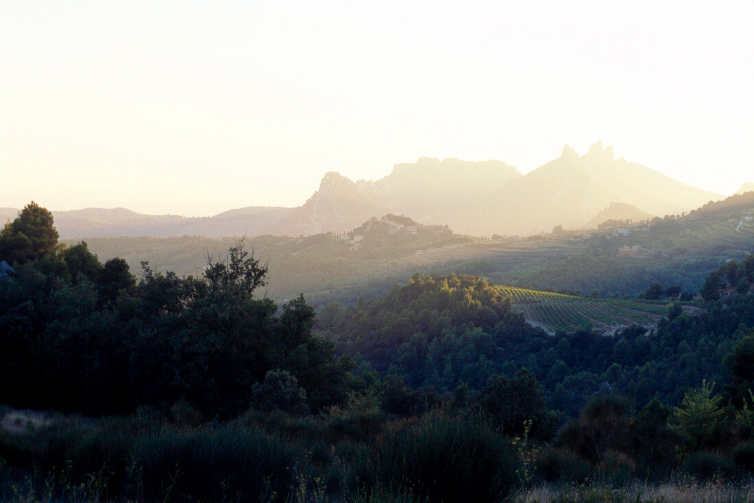 Views of mountains, trees and sky during misty climate