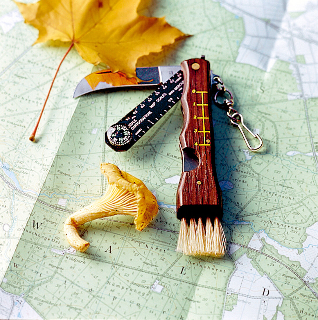 Ein Taschenmesser, ein gelbes Blatt und ein Pilz auf einer Landkarte