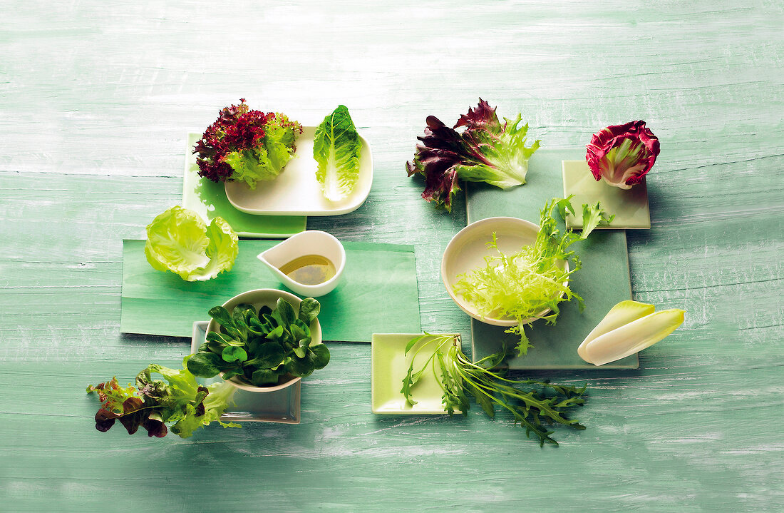 Salatblätter einzelne Sorten auf Platten, in Schalen, auf Teller
