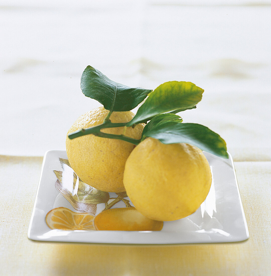Zitronen mit Blätter auf Teller mit Zitrusmotiv