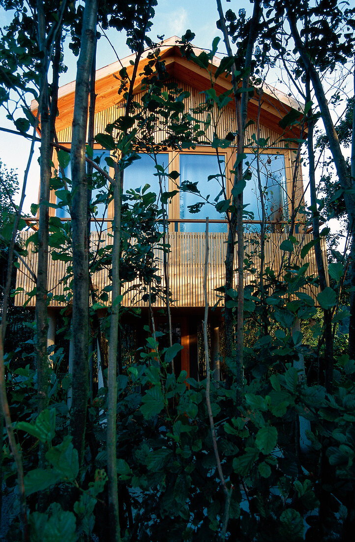 Baumhaus aus Holz auf 2 Meter hohen Stelzen umgeben von Erlen
