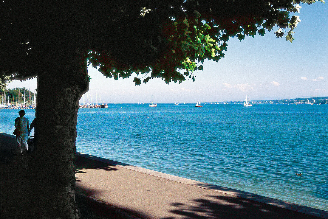 View of Sailboats in the Lake Constance, Germany