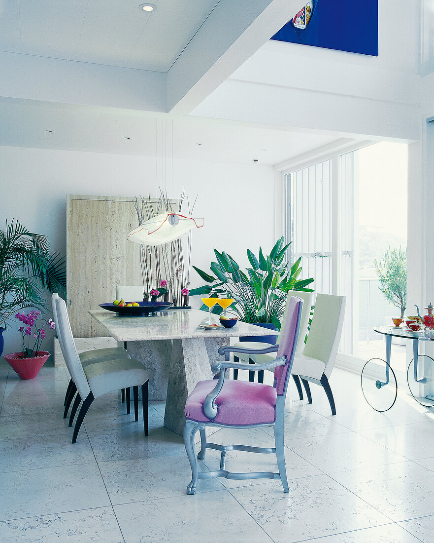 View of dining room with table, chairs and potted plants